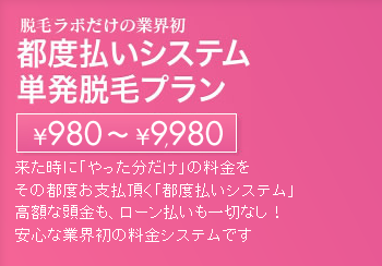 Eу{ sx̉i